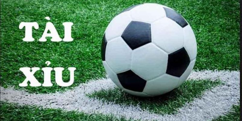 Kèo Tài Xỉu: Kinh Nghiệm Để Mọi Người Tham Gia Hiệu Quả 2 Ví dụ trên sẽ giúp bạn hiểu rõ hơn về kèo Tài Xỉu